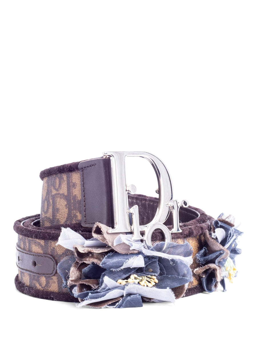 Dior Metallic Silver and Brown Belt B0335CWGAM911_SBG_E01-1?$  main image 4