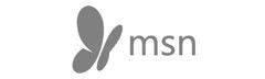 MSN Logo