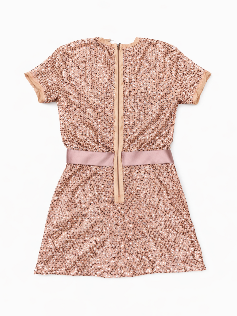 Lanvin Runway Sparkle Sequin Mini Dress Rose Gold Lanvin Runway Sparkle Sequin Mini Dress Rose Gold