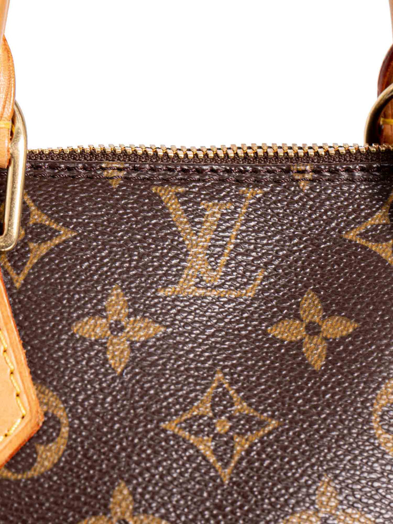 Louis Vuitton Monogram Alma Bag MM Brown