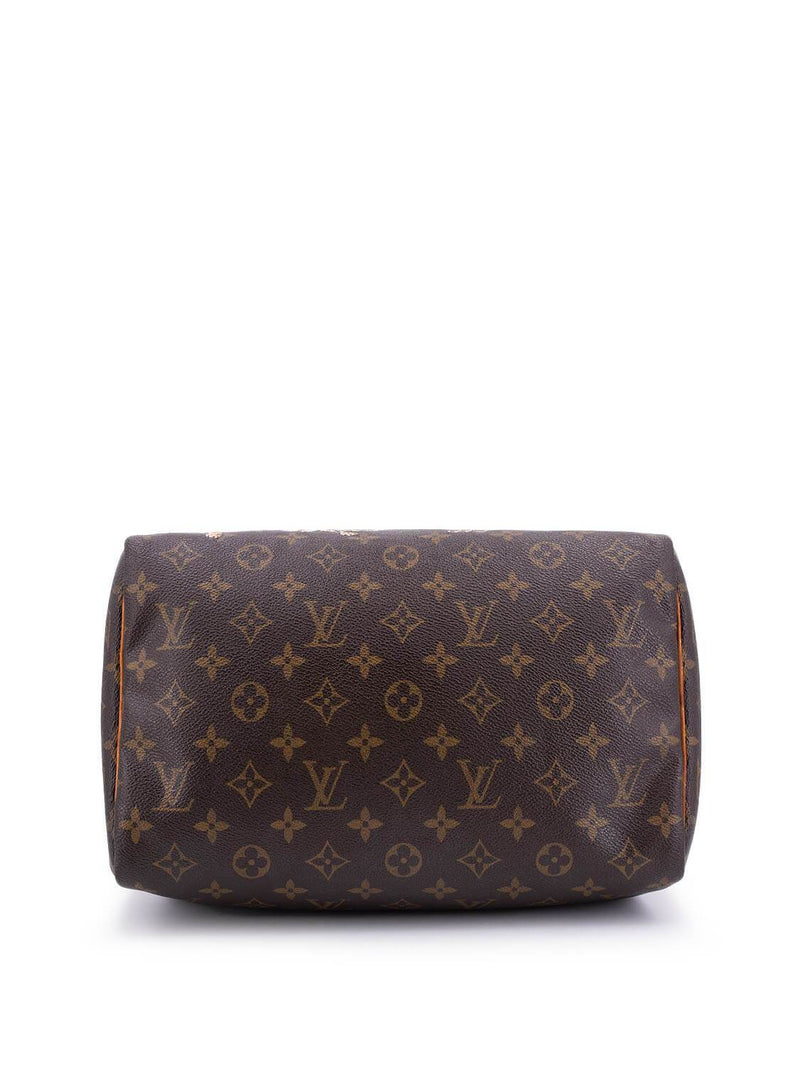 Louis Vuitton Monogram Hand Painted Speedy Bag 30 Brown-designer resale