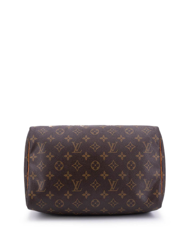 Louis Vuitton Monogram Hand Painted Speedy Bag 30 Brown