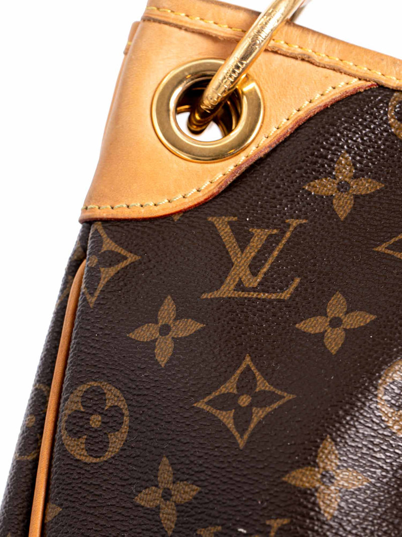 Louis Vuitton Monogram Hobo Bag Brown-designer resale
