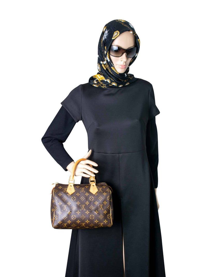 Louis Vuitton Monogram Speedy Bag 25 Brown-designer resale
